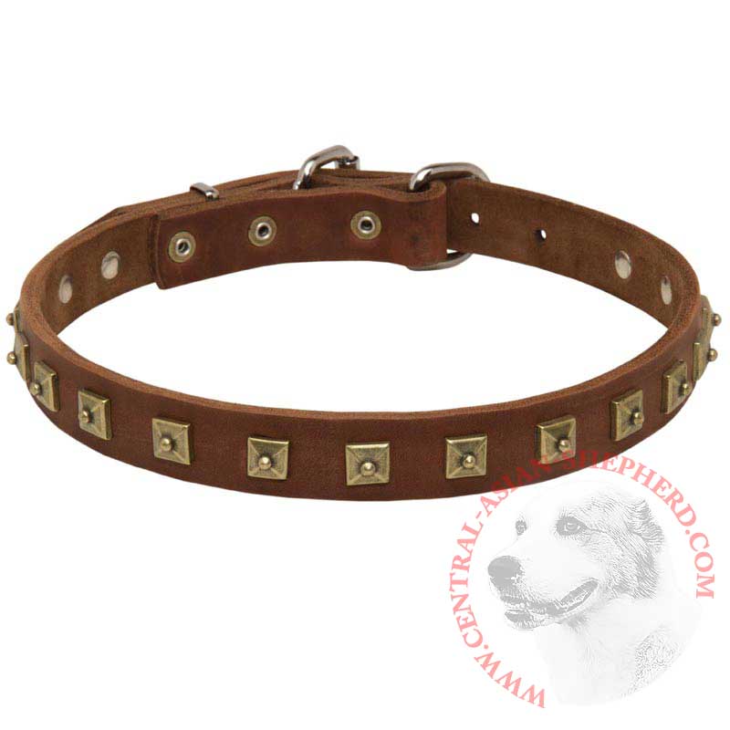 Handcrafted 1 Row Square Studded Leather Central Asian Shepherd Collar