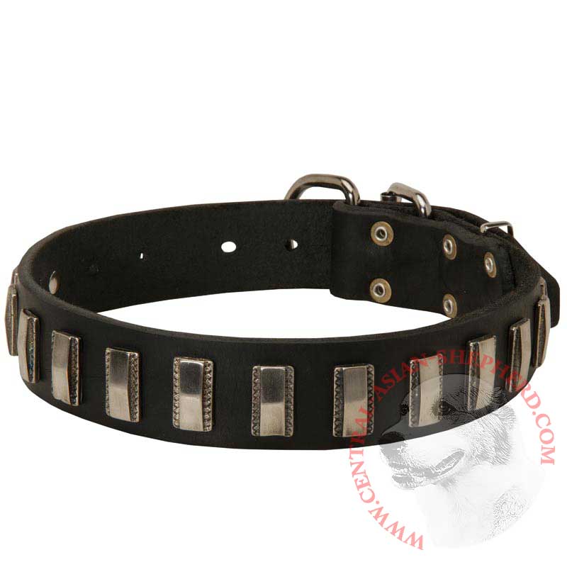 Central Asian Shepherd Leather Collar with Shiny Plates