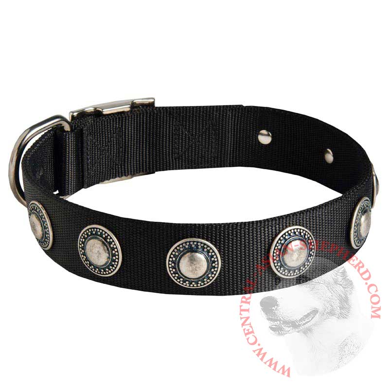 Central Asian Shepherd Nylon Dog Collar with Circles Decoration