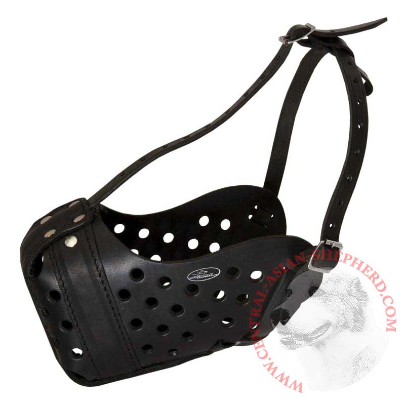 Easy Adjustable Leather Central Asian Shepherd Muzzle for Agitation Training