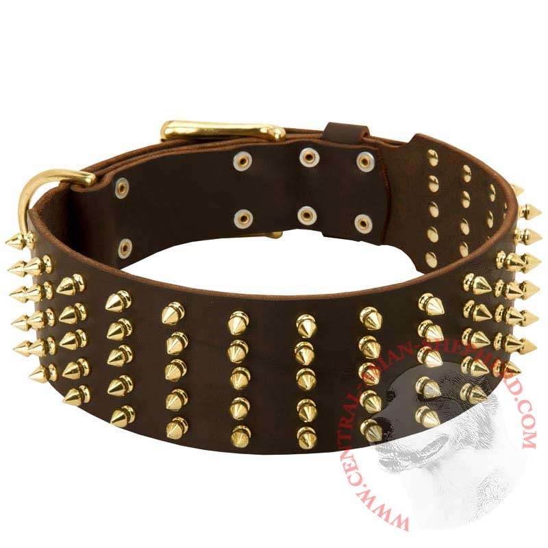 Wide Spiked Leather Central Asian Shepherd Collar