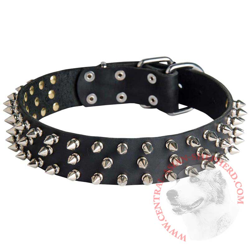 Leather Central Asian Shepherd Collar with 3 Rows of Nickel Spikes
