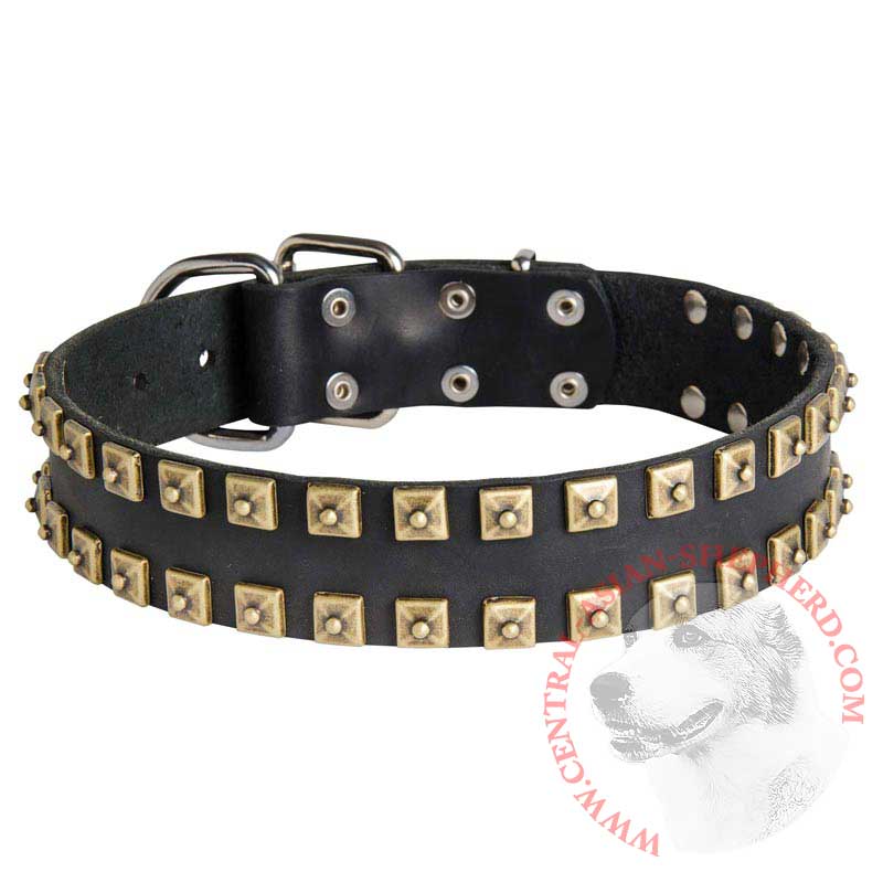 2 Rows Brass Studded Leather Central Asian Shepherd Collar for Walking and Training