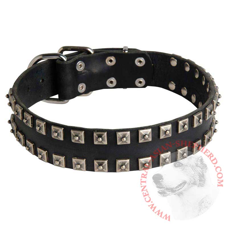 New Leather Central Asian Shepherd Collar - Fashion Exclusive Design - "Caterpillar"