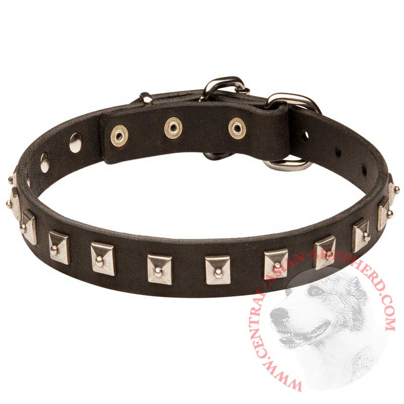 Central Asian Shepherd Leather Collar Caterpillar Design