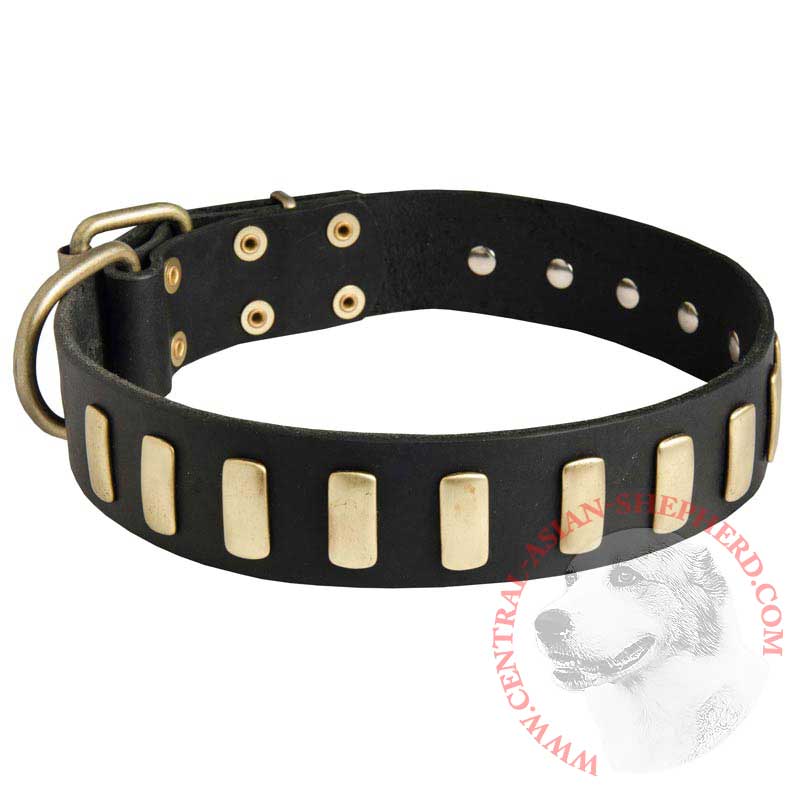 Fancy Leather Central Asian Shepherd Collar with Brass Plates