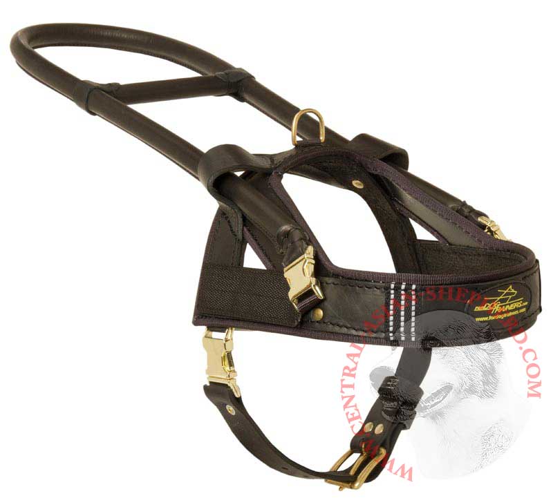 Guide and Assistance Leather Central Asian Shepherd Harness
