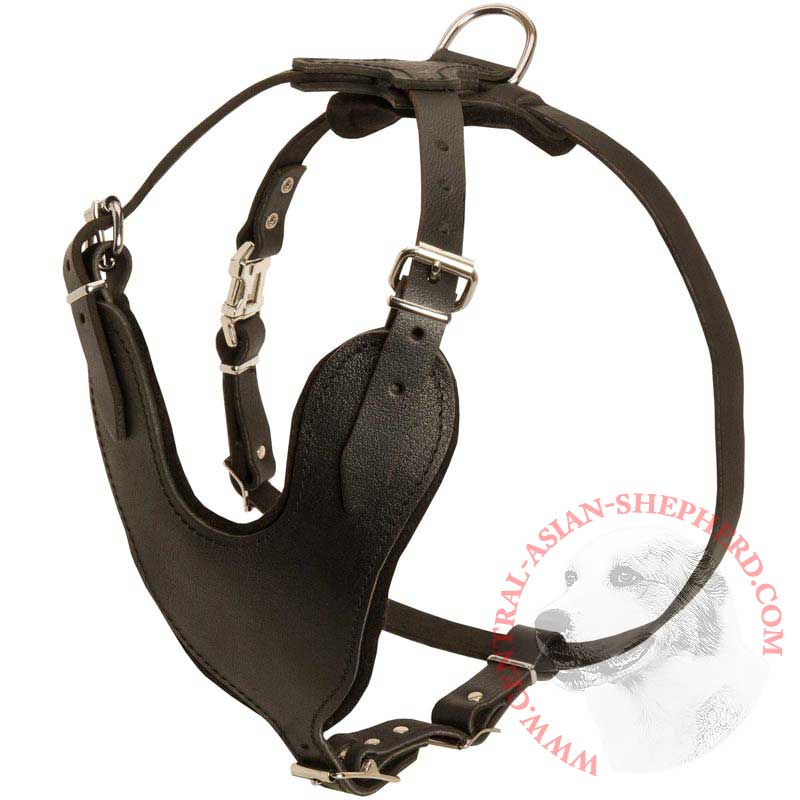 Adjustable Leather Central Asian Shepherd Harness for Attack / Agitation Training