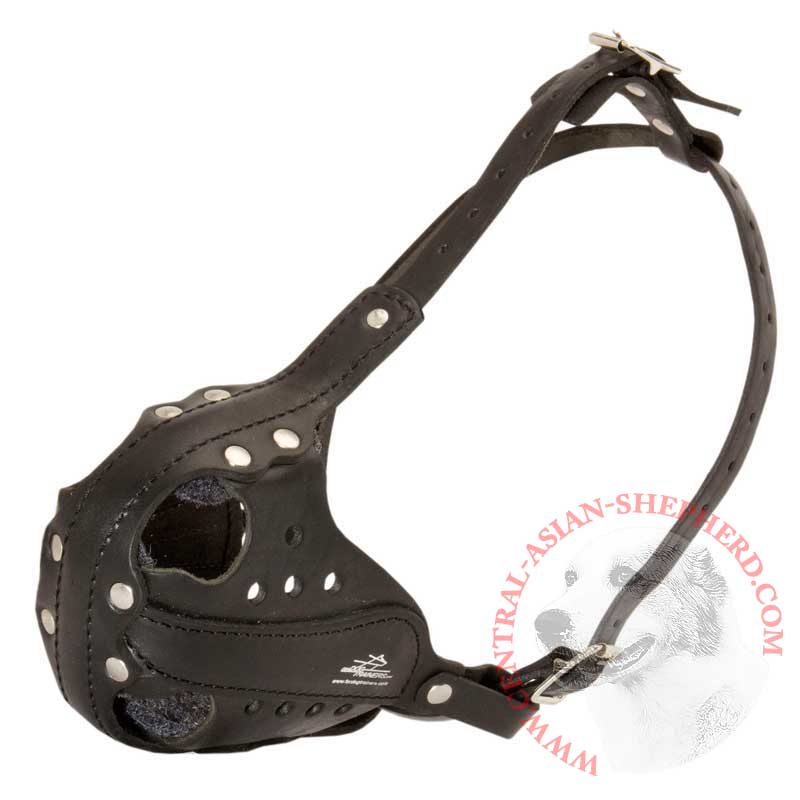 Leather Central Asian Shepherd Muzzle for Agitation Training and Military Service