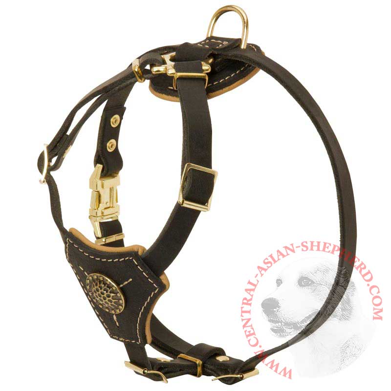 Tracking Walking Walking Leather Central Asian Shepherd Harness for Puppies