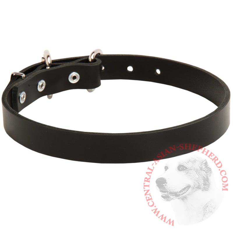 Central Asian Shepherd Leather Dog Collar 1 inch Wide