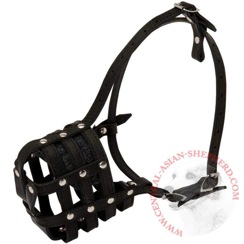 Walking and Training Leather Cage Central Asian Shepherd Muzzle