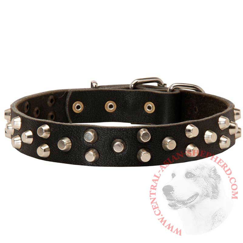 Fancy Design Leather Central Asian Shepherd Collar with Nickel Pyramids - Click Image to Close