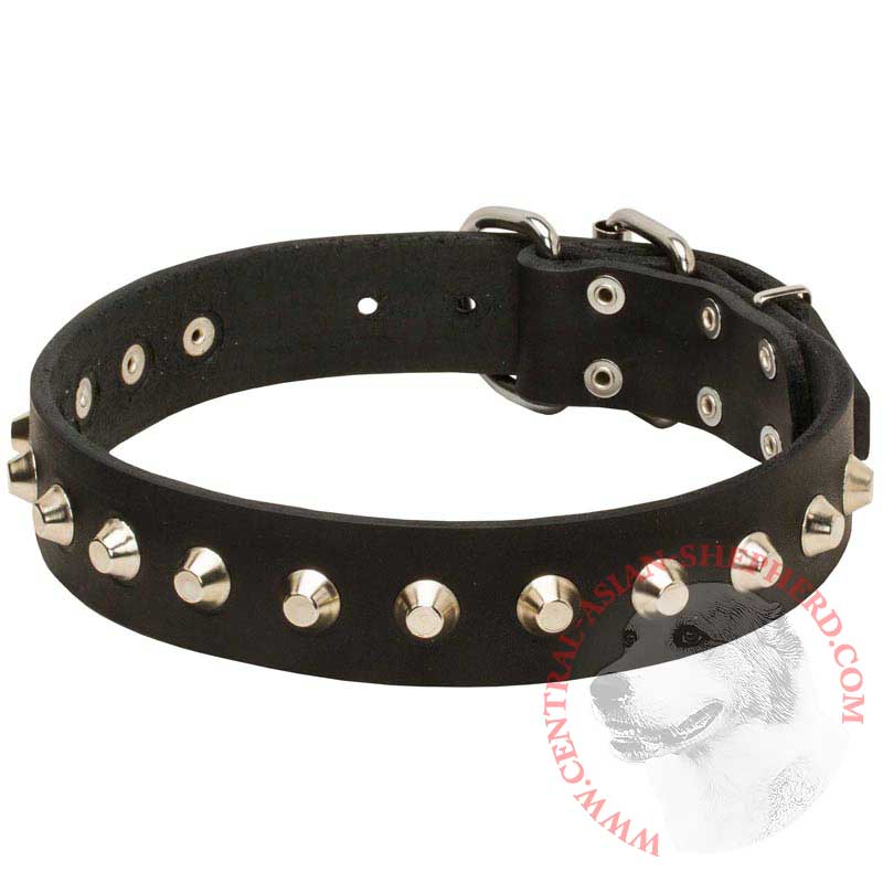 Gorgeous Wide Leather Central Asian Shepherd Collar - Fashion Exclusive Design