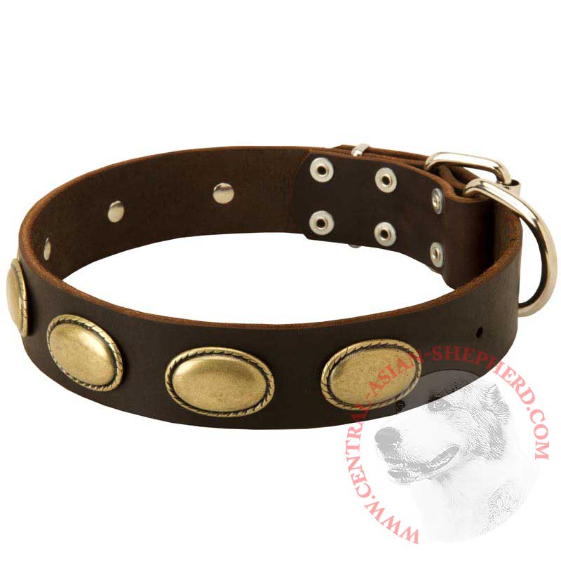Designer Leather Central Asian Shepherd Collar with Oval Plates
