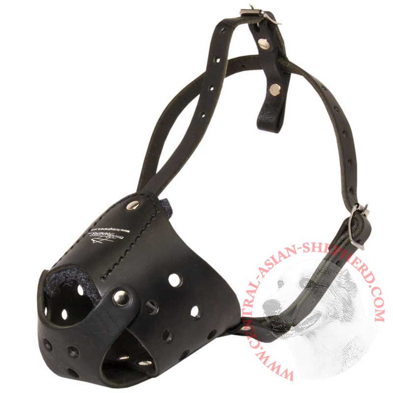 Everyday Leather Central Asian Shepherd Muzzle for Training