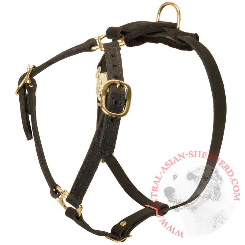 Y-Shaped Leather Central Asian Shepherd Harness for Tracking and Training