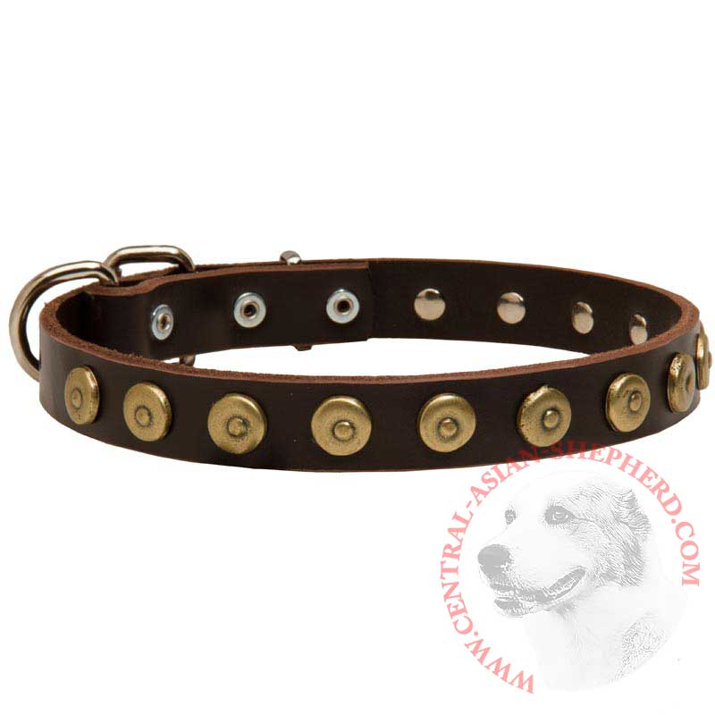 Leather Central Asian Shepherd Collar with Brass Dotted Circles for Fashion Walking