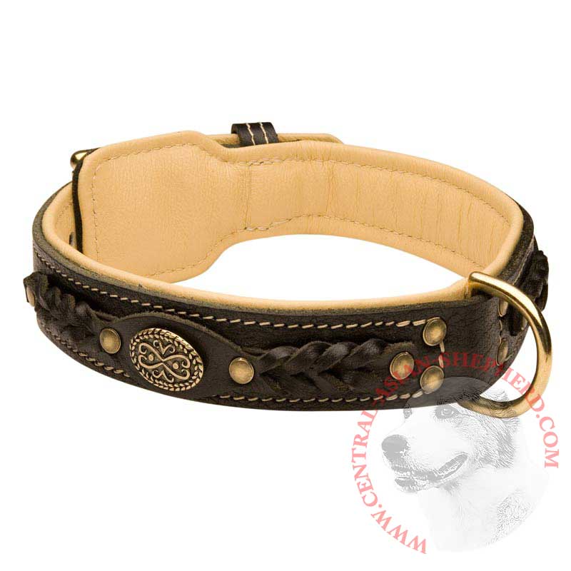 Central Asian Shepherd Leather Collar Braided