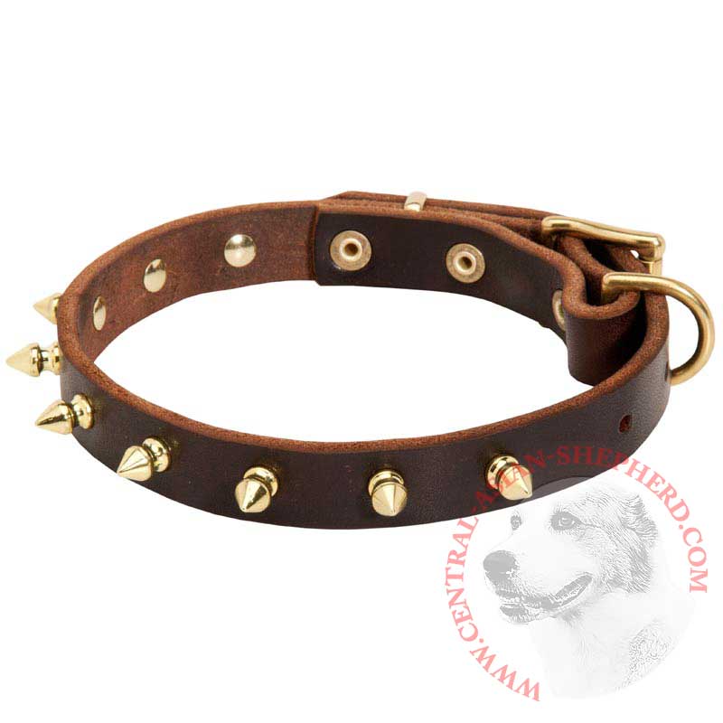Walking Designer Leather Central Asian Shepherd Collar with Brass Spikes