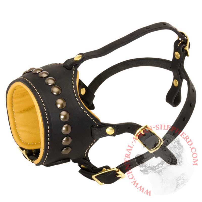Open Nose Studded Leather Central Asian Shepherd Muzzle With Nappa Padding