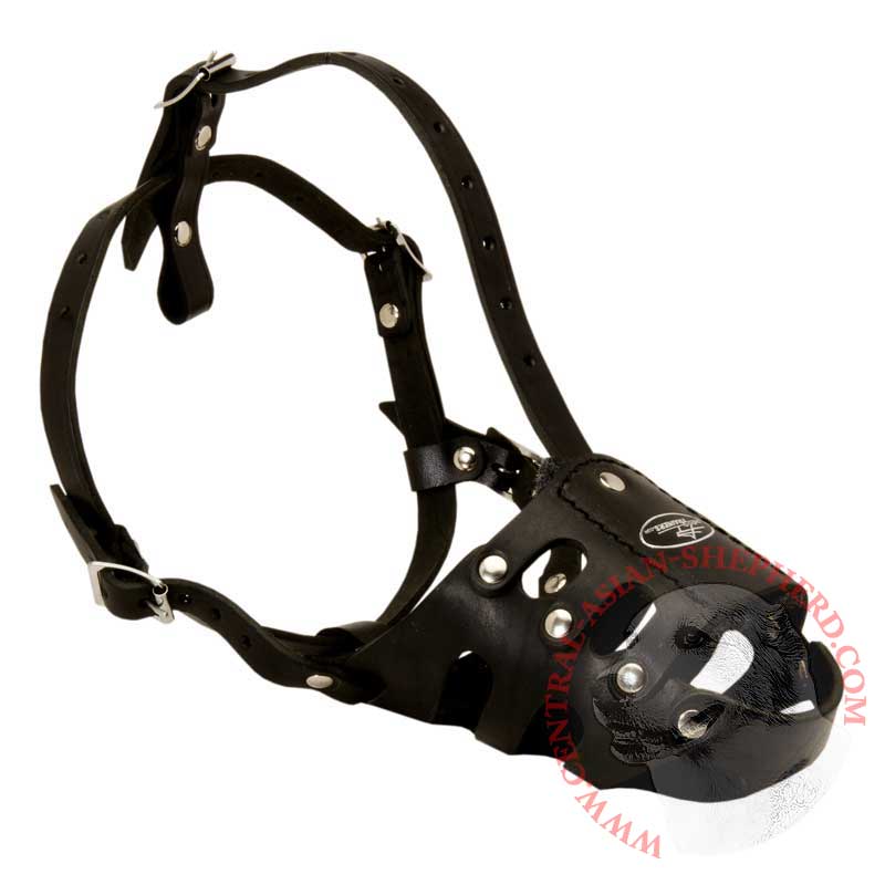 Anti Barking Leather Central Asian Shepherd Muzzle