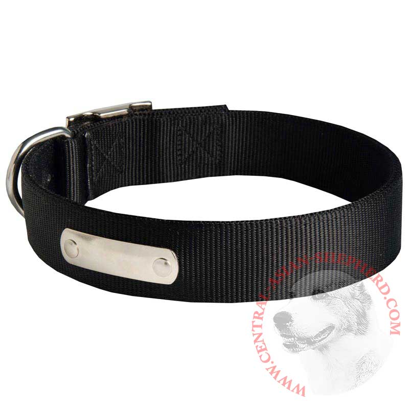 Any Weather Nylon Central Asian Shepherd Collar with Name Tag - Click Image to Close
