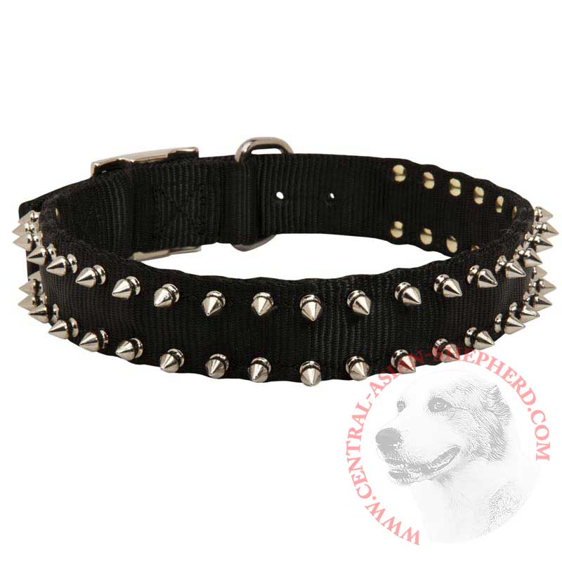 Central Asian Shepherd Nylon Collar Spiked