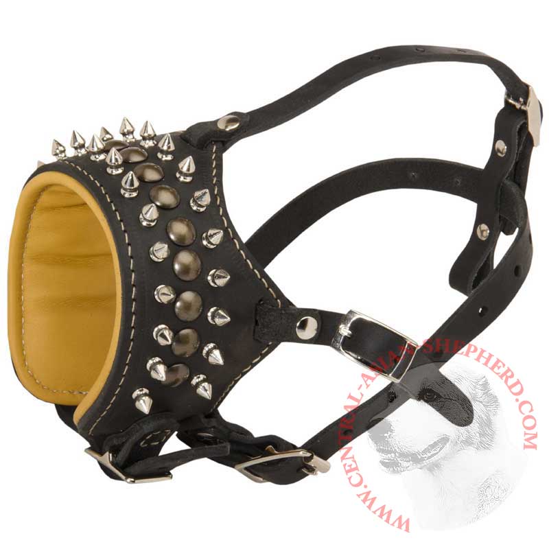 Royal Spiked and Studded Leather Central Asian Shepherd Muzzle