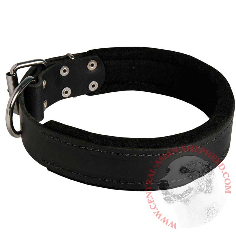 Central Asian Shepherd Durable Padded Leather Collar 40 mm