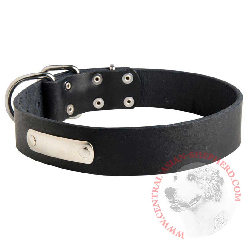Classic Leather Central Asian Shepherd Collar with Identification Tag