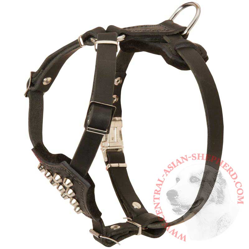 Download Studded Leather Central Asian Shepherd Puppy Harness [H24##1109 Leather puppy harness with studs ...
