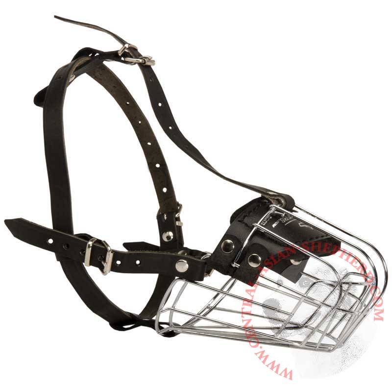Wire Basket Central Asian Shepherd Muzzle for Comfortable Walking and Training