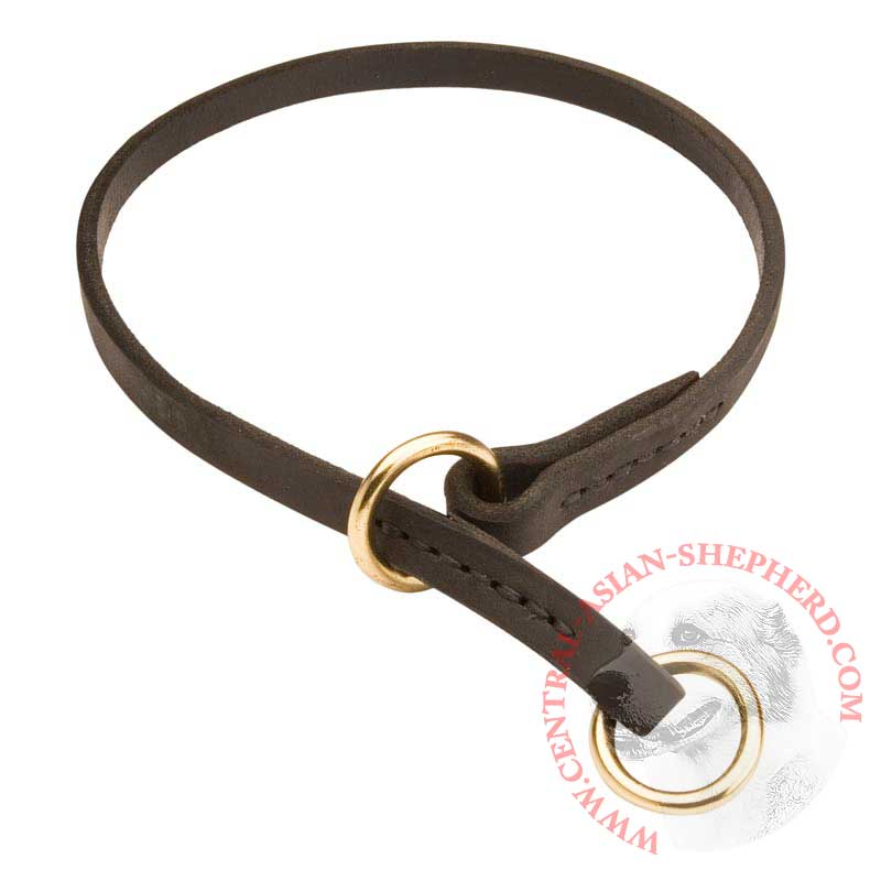 Central Asian Shepherd Leather Choke Collar Effective Training