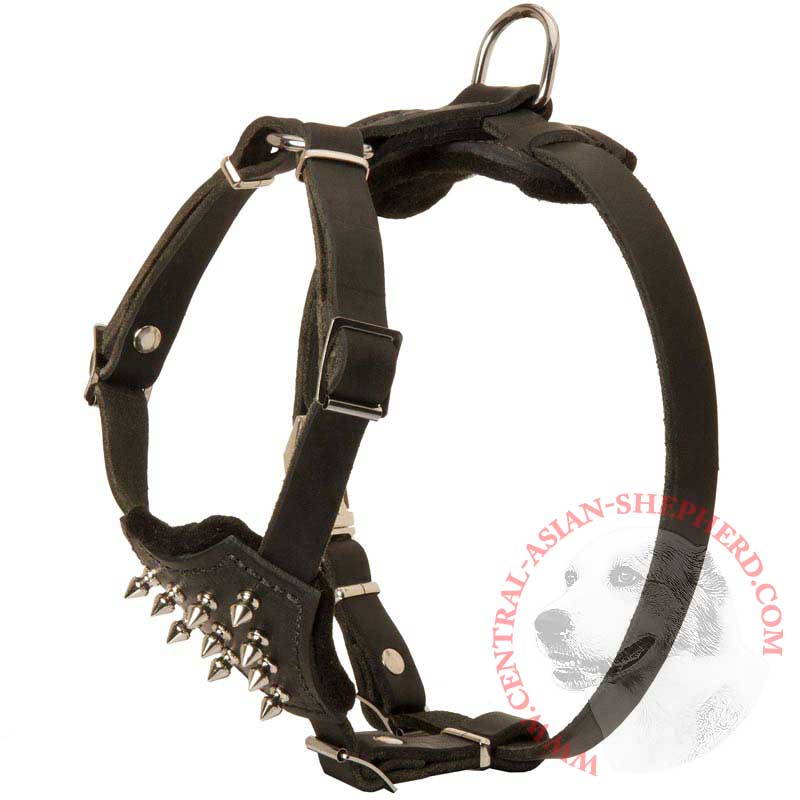 Durable Spiked Leather Puppy Central Asian Shepherd Harness