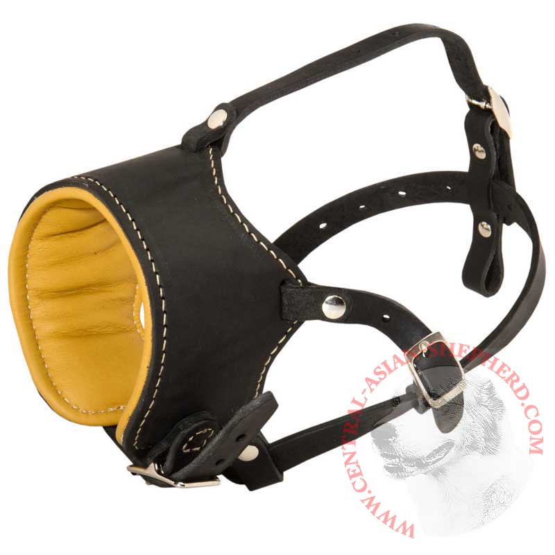 Snout Short Leather Central Asian Shepherd Muzzle Padded with Nappa Leather