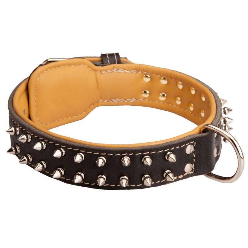 Spiked Central Asian Shepherd Collar Padded with Nappa Leather