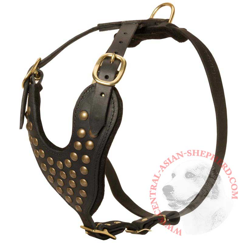 Adjustable Studded Leather Central Asian Shepherd Harness for Fashion Walking