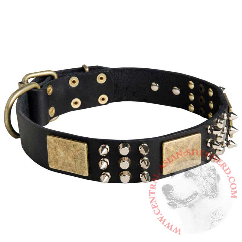 Spiked Leather Central Asian Shepherd Collar with Plates and Cones