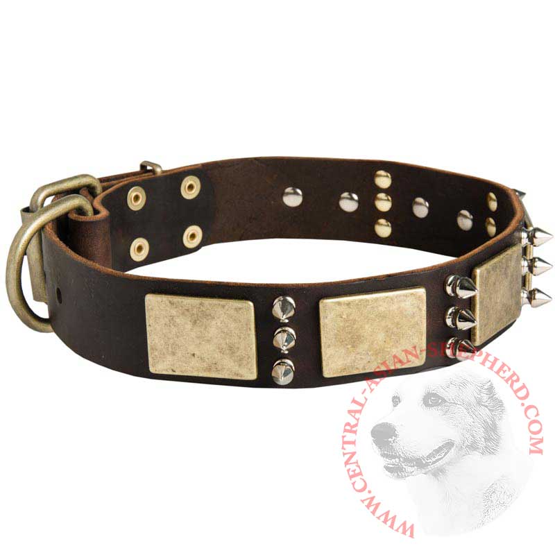 Designer War-Style Leather Central Asian Shepherd Collar with Spikes and Plates