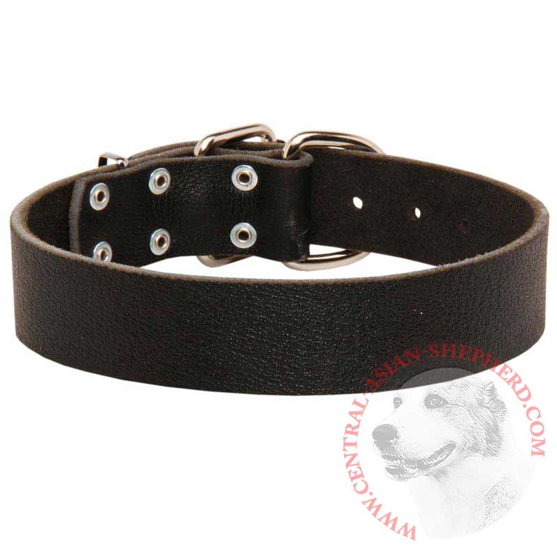 Wide Leather Central Asian Shepherd Collar for Training and Walking