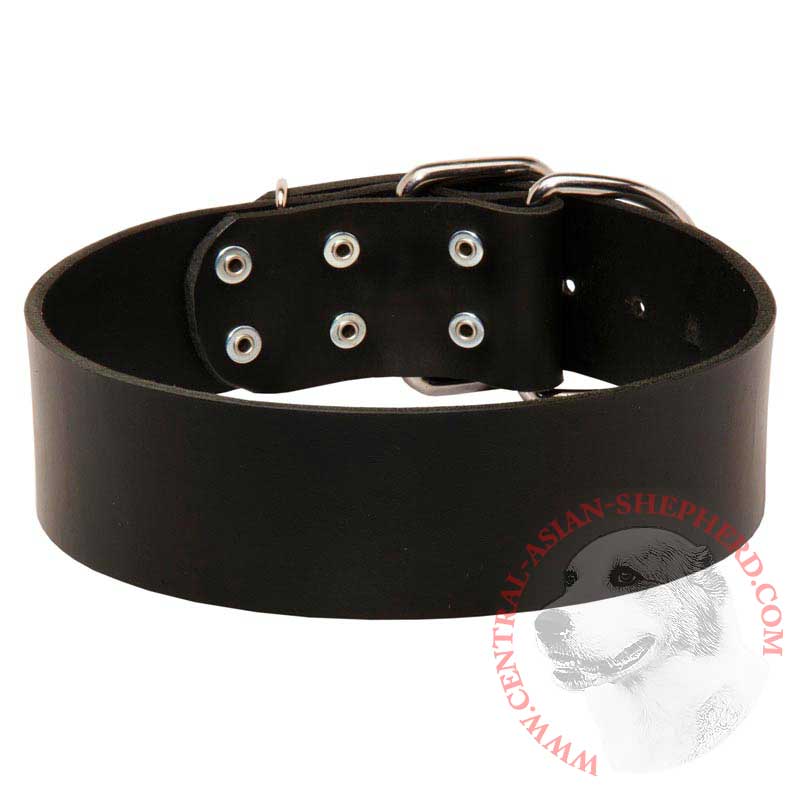 Extra Wide Leather Central Asian Shepherd Collar for Professional Training
