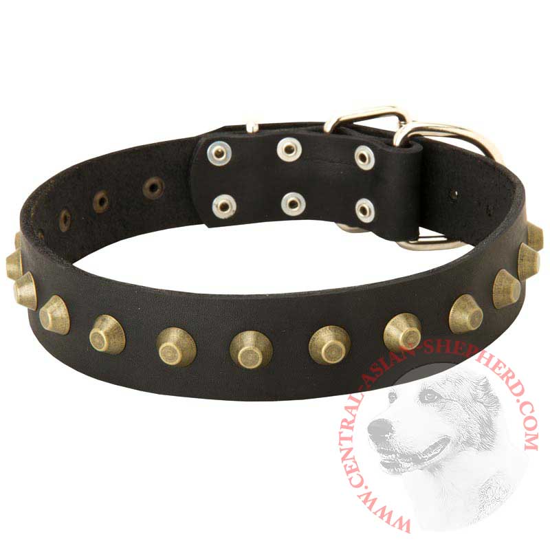 Leather Central Asian Shepherd Collar with Brass Pyramids
