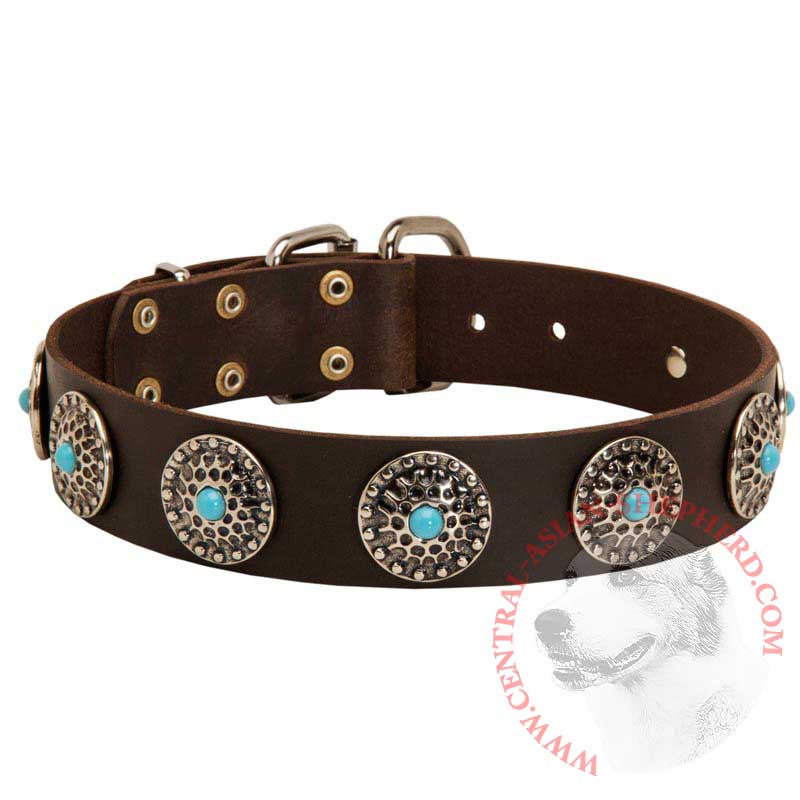 Leather Central Asian Shepherd Collar with Blue Stones for Stylish Walking