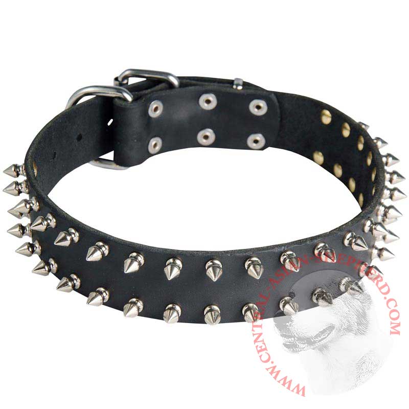 Leather Central Asian Shepherd Collar with 2 Rows of Nickel Spikes