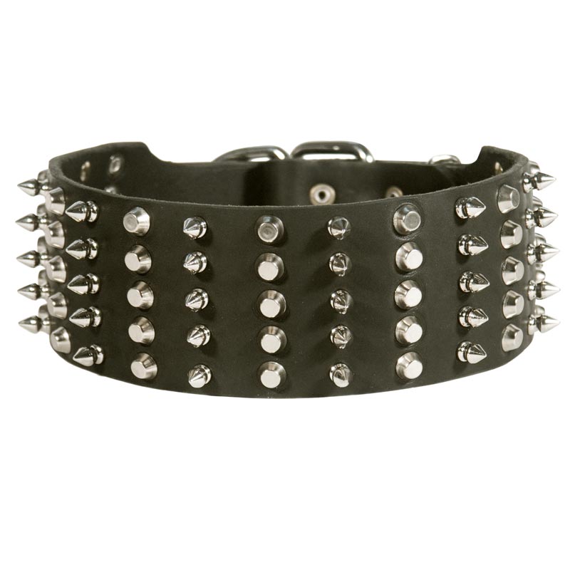 Central Asian Shepherd Leather Collar Spiked and Studded
