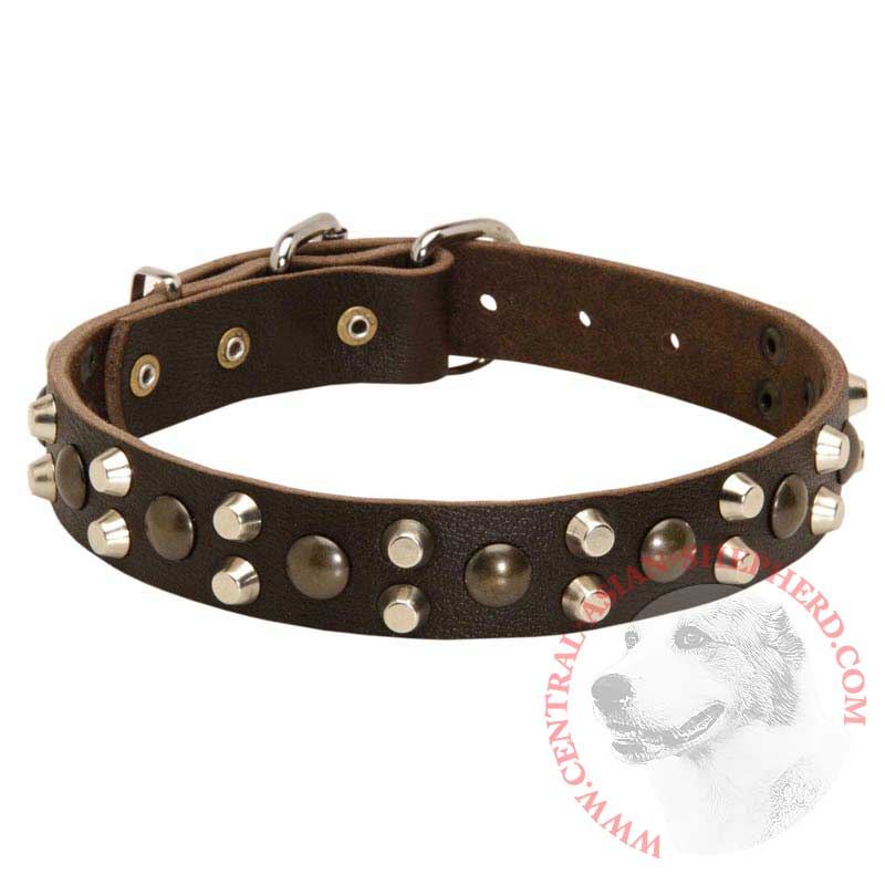 Leather Central Asian Shepherd Collar With Studs and Pyramids