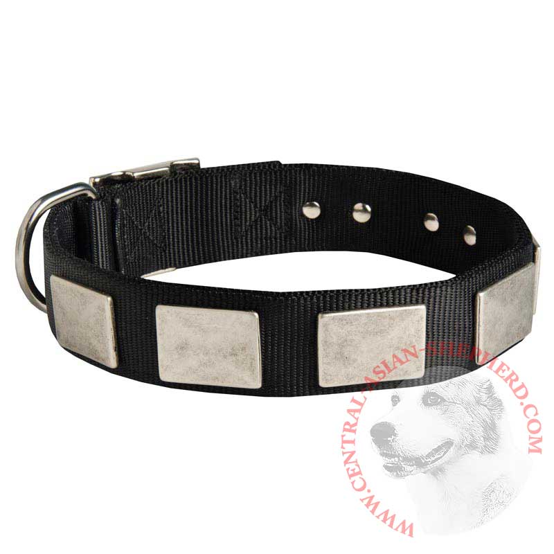 Nylon Central Asian Shepherd Collar Massive Nickel Plates
