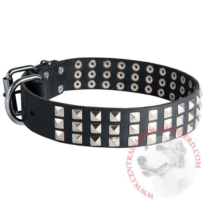 Leather Central Asian Shepherd Collar with 3 Rows of Nickel Pyramids