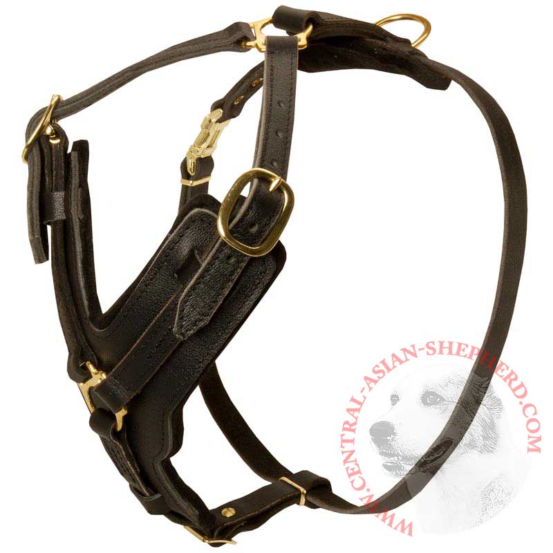 Padded Leather Central Asian Shepherd Harness for Agitation Training